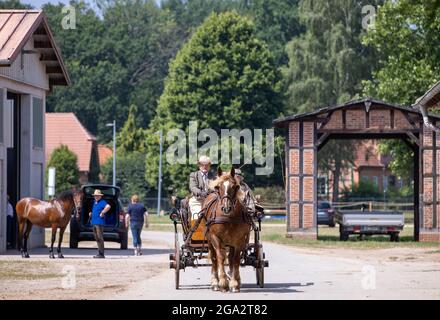 Redefin, Germania. 24 luglio 2021. Una carrozza attraversa il prigioniero di stato del Mecklenburg-Vorpommern. Dopo la pausa forzata dello scorso anno a causa di corona, i concerti del festival si svolgeranno nuovamente in condizioni di protezione corona. Questo fine settimana si terranno quattro concerti nella sala di equitazione della fattoria classica. Sono ammessi al massimo 1250 ascoltatori. Prima del concerto, c'era il tradizionale picnic all'aperto e uno spettacolo di cavalli da guardare. Credit: Jens Büttner/dpa-Zentralbild/ZB/dpa/Alamy Live News Foto Stock