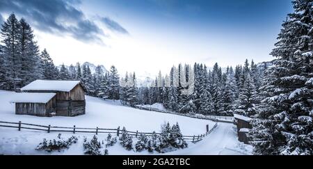 Scena invernale guardando una strada di campagna in una baita circondata da pini innevati in Val Badia, ai piedi delle Dolomiti dell'Alto... Foto Stock