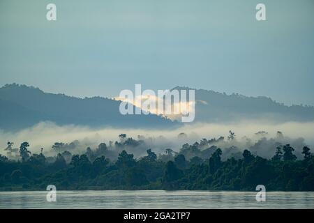 Alba mattina nebbia che sorge sulla giungla coperta rive del fiume Ayeyarwady (Irrawaddy) all'alba; giungla rurale, Kachin, Myanmar (Birmania) Foto Stock