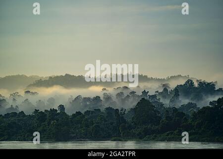 Alba mattina nebbia che sorge sulla giungla coperta rive del fiume Ayeyarwady (Irrawaddy) all'alba; giungla rurale, Kachin, Myanmar (Birmania) Foto Stock