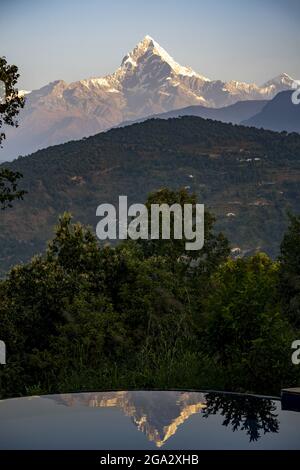 Machhapuchhare Peak, la Fish Tail Mountain si riflette in una piscina a sfioro in un rifugio di montagna dalla Valle Pokhara dell'Himalaya Foto Stock