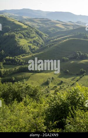 La Valle Morilor nei Monti Trascaului; Salciua, Sub Piatra, Transilvania, Romania Foto Stock