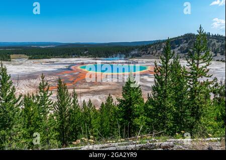 La Grande Primavera prismatica vista da un punto panoramico nel Parco Nazionale di Yellowstone Foto Stock