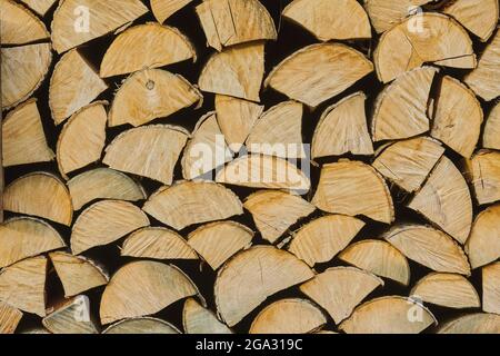 Mucchio di legno tagliato al Monte Vapec, Kleine Fatra; Karpaten, Horna Poruba, Slovacchia Foto Stock