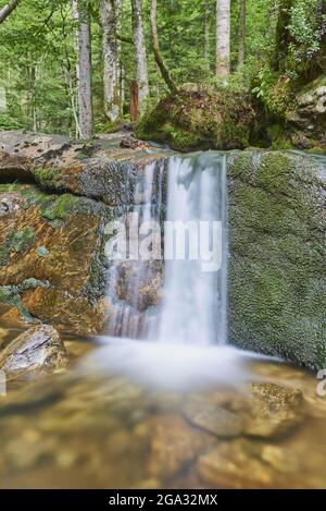 Cascate di Rissloch, Parco Nazionale della Foresta Bavarese; Baviera, Germania Foto Stock