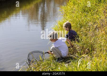 Un fratello e una sorella che cattura insetti in un ruscello in un parco cittadino durante la stagione autunnale; Edmonton, Alberta, Canada Foto Stock