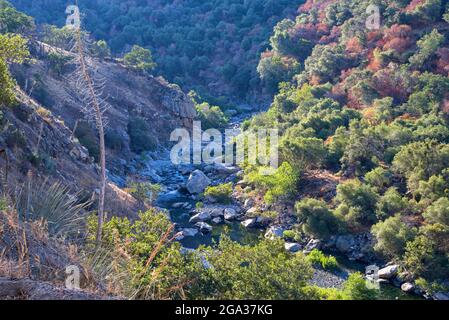 Scenario naturale nella zona pedemontana del Parco Nazionale delle sequoie. California, Stati Uniti. Foto Stock