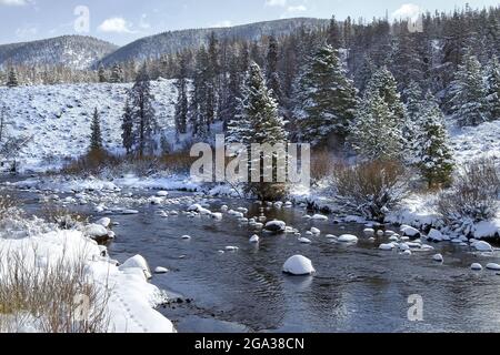 Fiume Laramie con rocce innevate su un paesaggio invernale, che attraversa il Wyoming e Colorado, USA; Wyoming, Stati Uniti d'America Foto Stock