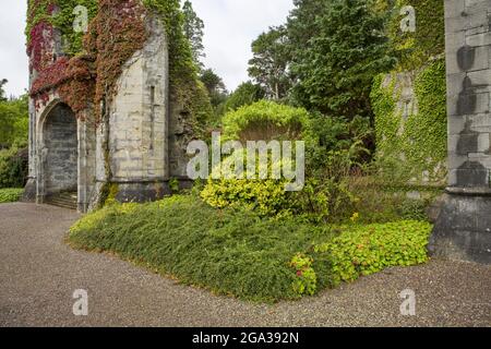 Ivy e il verde coprono le rovine del Castello Armadale, ex casa della famiglia MacDonald ad Armadale, Scozia; Armadale, Isola di Skye, Scozia Foto Stock