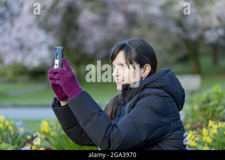 Donna di mezza età che fotografa la sua visione con uno smartphone mentre si siede a Stanley Park durante il giorno; Vancouver, British Columbia, Canada Foto Stock