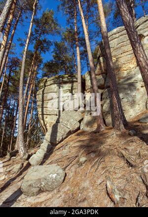 Mastale rockies o Tourovcovy mastale città rock vicino Prosec città, arenaria rockies in Repubblica Ceca Foto Stock