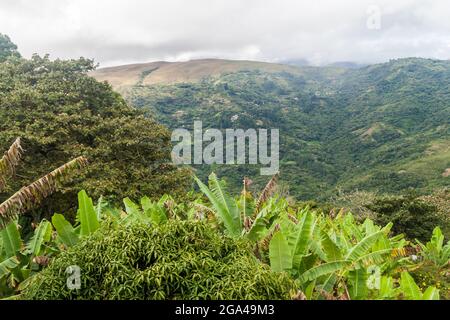 Villaggi vicino Coroico in montagna Yungas, Bolivia Foto Stock