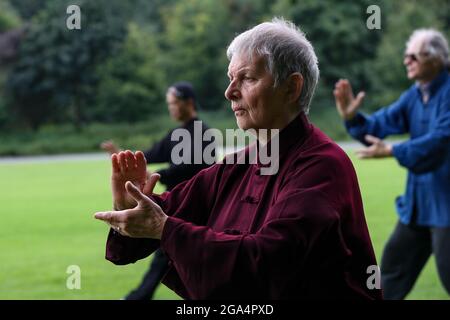 Bruxelles, Belgio. 28 luglio 2021. Una donna pratica Taiji (o Tai Chi) al Laeken Park a Bruxelles, Belgio, 28 luglio 2021. Decine di appassionati di Taiji si sono riuniti a Bruxelles mercoledì per praticare Taiji, presentando una serie di esibizioni cinesi di Taiji. Credit: Zhang Cheng/Xinhua/Alamy Live News Foto Stock