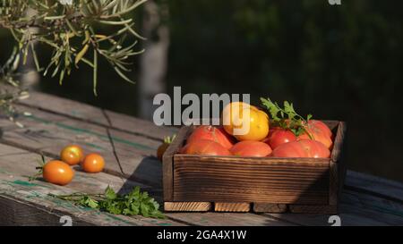 Pomodori nel mercato di strada. Immagini di stock di scatola di pomodoro organico. Raccogliere i pomodori in una scatola di legno Foto Stock