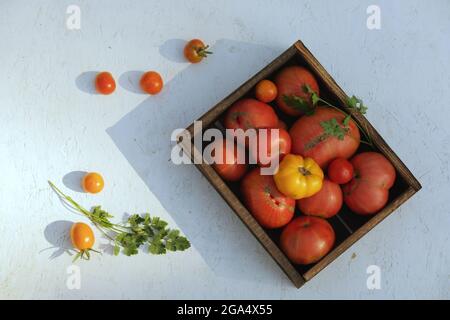 Pomodori freschi maturi di diverse varietà nel mercato dei vassoi di legno agricoltura biologica o fattoria. Ripresa dall'alto Foto Stock