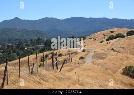 Una vista del paesaggio nella contea di Marin, California Foto Stock