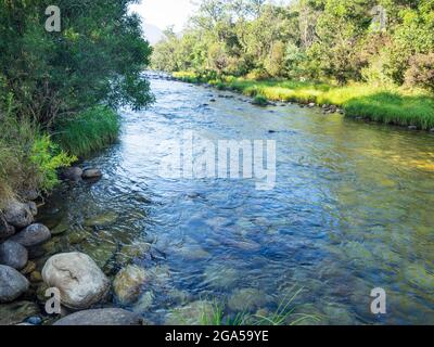 Swampy Plains River, Geehi Flats, Kosciuszko National Park, New South Wales, Australia Foto Stock