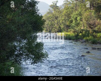 Swampy Plains River, Geehi Flats, Kosciuszko National Park, New South Wales, Australia Foto Stock