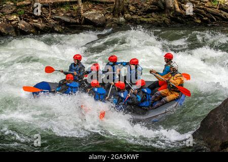 Rafting sul fiume Noguera Pallaresa, vicino a Llavorsí, nella provincia di Lleida, Catalogna, Spagna. Situato nel cuore dei Pirenei, il Noguera Pallaresa è Foto Stock