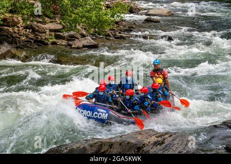 Rafting sul fiume Noguera Pallaresa, vicino a Llavorsí, nella provincia di Lleida, Catalogna, Spagna. Situato nel cuore dei Pirenei, il Noguera Pallaresa è Foto Stock