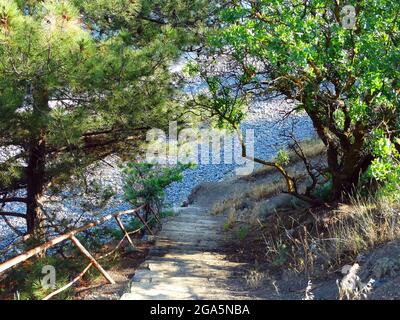 Una vecchia scala in legno con ringhiera arrugginita scende alla spiaggia di ciottoli . Foto Stock