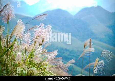 Bella vista montagna nel quartiere di Binh Lieu Quang Ninh provincia nord Vietnam Foto Stock