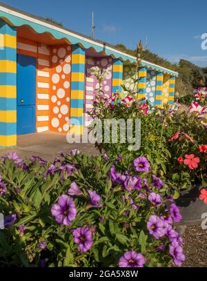 Mablethorpe, Lincolnshire, Regno Unito. 29 luglio 2021. REGNO UNITO. Meteo nel Regno Unito. Una mattinata estiva soleggiata mostra i colori degli chalet decorati sulla spiaggia sul lungomare di Mablethorpe, sulla costa orientale del Lincolnshire. Credit: phil wilkinson/Alamy Live News Foto Stock