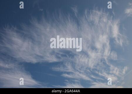 Nuvole di cirro spionda alte nel cielo in una serata autunnale Foto Stock