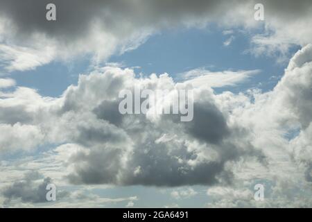 Le nuvole di Cumulus viste contro un cielo blu (queste sono Cumulus mediocris, essendo larghe quanto alte) Foto Stock