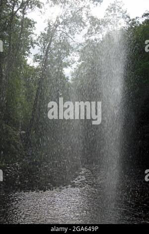 Fotografia scattata guardando fuori da dietro le cascate di Henrhyd, Neath, la cascata più alta del Galles meridionale, a 90 metri. Foto Stock