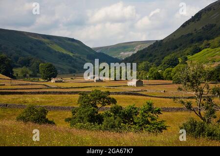 Colline, campane e pascoli, Muker,(ls) Swalledale 100721 Foto Stock