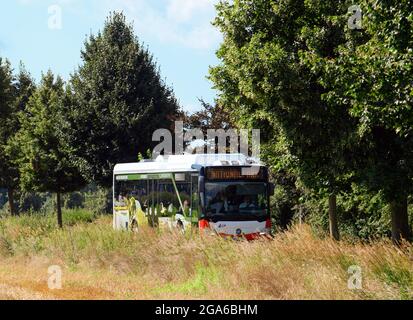 29 luglio 2021, Brandenburg, Schwedt/OT Criewen: Uno dei primi due autobus in Europa ad essere convertito in tecnologia a celle a combustibile a idrogeno viaggia con gli ospiti alla presentazione degli autobus sulla strada da Criewen a Schwedt. I veicoli climatizzati sono in servizio con il Uckermärkische Verkehrsgesellschaft (UVG) e viaggiano anche lungo il Parco Nazionale della bassa valle dell'Oder. I bus a idrogeno, precedentemente alimentati a diesel, ora funzionano con idrogeno verde prodotto dalla società Enertrag utilizzando l'energia eolica della regione Uckermark. Foto: Soeren Stache/dpa-Zentralbild/dpa Foto Stock