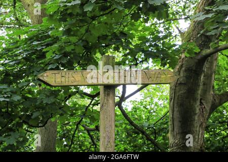 Un postino di legno strano e bizzarro che dice 'questo senso e quel senso', il Wrekin, Shropshire, Inghilterra, Regno Unito Foto Stock