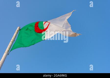 Bandiera algerina sventolando contro un cielo azzurro pulito, primo piano, concetto di giorno di indipendenza. Foto Stock