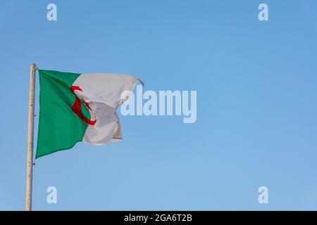 Bandiera algerina sventolando contro un cielo azzurro pulito, primo piano, concetto di giorno di indipendenza. Foto Stock