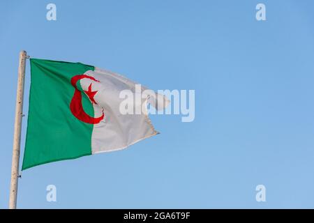 Bandiera algerina sventolando contro un cielo azzurro pulito, primo piano, concetto di giorno di indipendenza. Foto Stock