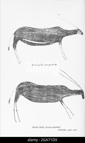 Boscimani (san) pittura rupestre di Gemsbok maschile e femminile dipinta sulle pareti delle grotte dal libro ' esemplari del folklore dei Boscimani ' di Bleek, W. H. I. (Wilhelm Heinrich Immanuel), Lloyd, Lucy Catherine, Theal, George McCall, 1837-1919 pubblicato a Londra da G. Allen & Company, ltd. Nel 1911. I popoli dei San (anche Saan), o Boscimani, sono membri di vari gruppi di cacciatori-raccoglitori indigeni di lingua khoe, Tuu, o Kxʼa, che sono le prime nazioni dell'Africa meridionale, e i cui territori si estendono dal Botswana, dalla Namibia, dall'Angola, dallo Zambia, dallo Zimbabwe, Lesotho e Sud Africa. Foto Stock