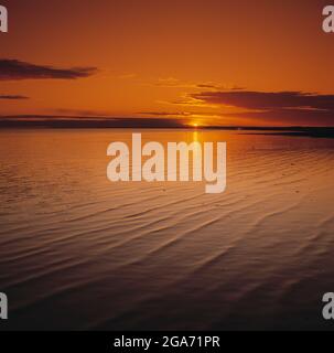 Australia del Sud. Alba sul lago Eyre. Foto Stock