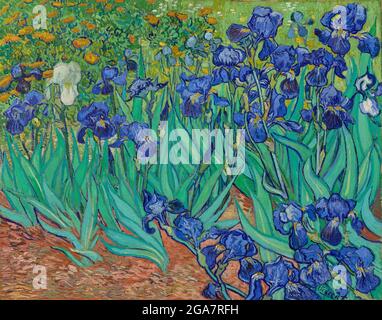 vincent Van Gogh, Irises, 1889, olio su tela, Los Angeles, Stati Uniti d'America Foto Stock