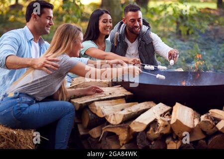Gruppo di amici Camping seduto da fuoco in fuoco Bowl tostare Marshmallows insieme Foto Stock