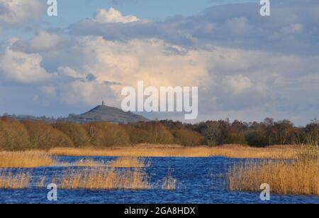 Glastonbury Tor si è visto da una riserva naturale allagata ai livelli del Somerset in una luminosa mattina d'inverno. Foto Stock