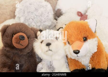 Tre animali peluche peluche Foto Stock