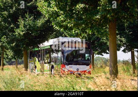 29 luglio 2021, Brandenburg, Schwedt/OT Criewen: Uno dei primi due autobus in Europa ad essere convertito in tecnologia a celle a combustibile a idrogeno viaggia con gli ospiti alla presentazione degli autobus sulla strada da Criewen a Schwedt. I veicoli climatizzati sono in servizio con il Uckermärkische Verkehrsgesellschaft (UVG) e viaggiano anche lungo il Parco Nazionale della bassa valle dell'Oder. I bus a idrogeno, precedentemente alimentati a diesel, ora funzionano con idrogeno verde prodotto dalla società ENERTRAG utilizzando l'energia eolica della regione Uckermark. Foto: Soeren Stache/dpa-Zentralbild/dpa Foto Stock