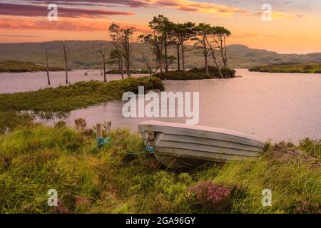 Lago con alberi su un'isola in Scozia Highlands Foto Stock