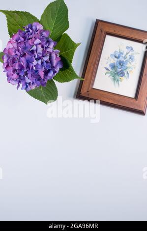 Immagine verticale di un bouquet di idrangee viola in un vaso con una cornice su sfondo blu Foto Stock