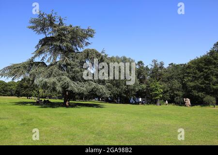 Grovelands Grade II storico parco pubblico a Southgate e Winchmore Hill, nel nord di Londra, Regno Unito Foto Stock