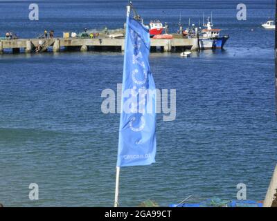 Cascais, Lisboa Portogallo. 29 luglio 2021. (INT) movimento turistico a Cascais. 29 luglio 2021, Cascais, Portogallo: Movimento turistico al centro e sulle spiagge di Cascais, sulla costa del Portogallo, giovedì (29), in mezzo alla pandemia di Coronavirus. (Credit Image: © Edson De Souza/TheNEWS2 via ZUMA Press Wire) Foto Stock