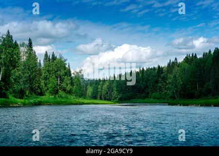 bellissimo paesaggio estivo fiume con rive boscose selvagge Foto Stock