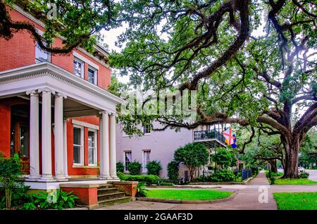 Le case storiche sono raffigurate su Government Street, 28 luglio 2021, a Mobile, Alabama. Foto Stock