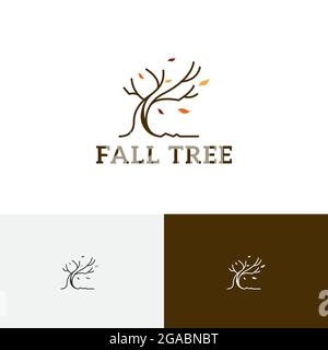 Fallen Leaves albero Autunno Stagione natura Logo Illustrazione Vettoriale